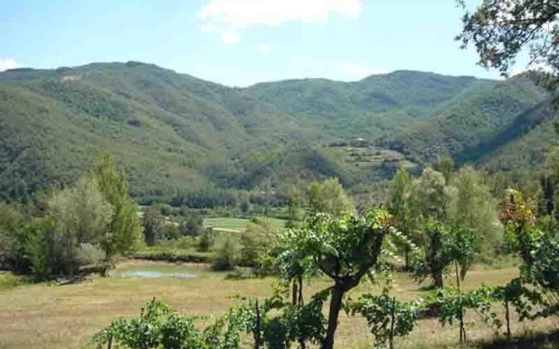 Villa Il Corniolo Morra Exterior photo